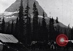Image of camping and trekking United States USA, 1920, second 26 stock footage video 65675035758