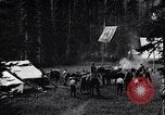 Image of camping and trekking United States USA, 1920, second 46 stock footage video 65675035758