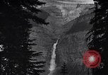 Image of waterfall and wild flowers United States USA, 1920, second 13 stock footage video 65675035759