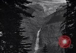Image of waterfall and wild flowers United States USA, 1920, second 14 stock footage video 65675035759