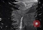 Image of waterfall and wild flowers United States USA, 1920, second 17 stock footage video 65675035759