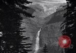 Image of waterfall and wild flowers United States USA, 1920, second 19 stock footage video 65675035759