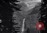 Image of waterfall and wild flowers United States USA, 1920, second 20 stock footage video 65675035759
