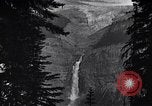 Image of waterfall and wild flowers United States USA, 1920, second 22 stock footage video 65675035759
