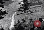 Image of waterfall and wild flowers United States USA, 1920, second 30 stock footage video 65675035759
