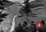 Image of waterfall and wild flowers United States USA, 1920, second 32 stock footage video 65675035759