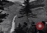 Image of waterfall and wild flowers United States USA, 1920, second 33 stock footage video 65675035759