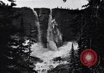 Image of waterfall and wild flowers United States USA, 1920, second 46 stock footage video 65675035759