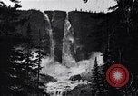 Image of waterfall and wild flowers United States USA, 1920, second 47 stock footage video 65675035759