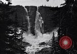 Image of waterfall and wild flowers United States USA, 1920, second 48 stock footage video 65675035759