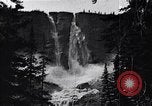 Image of waterfall and wild flowers United States USA, 1920, second 49 stock footage video 65675035759