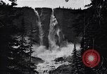 Image of waterfall and wild flowers United States USA, 1920, second 50 stock footage video 65675035759