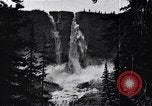 Image of waterfall and wild flowers United States USA, 1920, second 51 stock footage video 65675035759