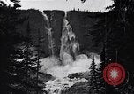 Image of waterfall and wild flowers United States USA, 1920, second 52 stock footage video 65675035759