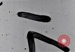 Image of error checking in produced stockings United States USA, 1920, second 53 stock footage video 65675035762