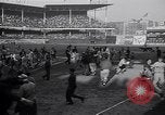 Image of Brooklyn Dodgers fans rush field Brooklyn New York City USA, 1942, second 27 stock footage video 65675035771