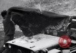 Image of US army position at its bunker Korea, 1951, second 36 stock footage video 65675035798