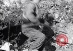 Image of US Army captures enemy bunker in Korean War Korea, 1951, second 1 stock footage video 65675035800