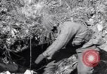 Image of US Army captures enemy bunker in Korean War Korea, 1951, second 5 stock footage video 65675035800