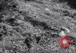 Image of US Army captures enemy bunker in Korean War Korea, 1951, second 31 stock footage video 65675035800