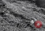 Image of US Army captures enemy bunker in Korean War Korea, 1951, second 38 stock footage video 65675035800