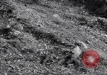Image of US Army captures enemy bunker in Korean War Korea, 1951, second 44 stock footage video 65675035800