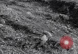 Image of US Army captures enemy bunker in Korean War Korea, 1951, second 48 stock footage video 65675035800