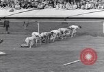 Image of track events between USA and Britain London England United Kingdom, 1936, second 3 stock footage video 65675035856