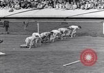 Image of track events between USA and Britain London England United Kingdom, 1936, second 4 stock footage video 65675035856