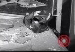 Image of Protests against Communist Party of Netherlands Amsterdam Netherlands, 1956, second 47 stock footage video 65675035860