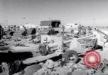Standbild Die Suez-krise 1956 Suezkanal Ägypten, 1956, aus Sekunde 42 historischem Filmmaterial Videoclip 65675035864