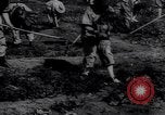 Image of victory gardens in World War I United States USA, 1917, second 9 stock footage video 65675035873