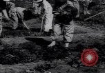 Image of victory gardens in World War I United States USA, 1917, second 10 stock footage video 65675035873