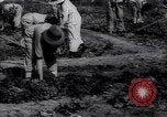 Image of victory gardens in World War I United States USA, 1917, second 11 stock footage video 65675035873