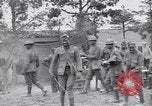 Image 369infanterie de l'armée américaine France, 1918, de la seconde 17 séquences d'archives historiques vidéo 65675035884