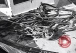 Standbild Küstenwache rettet Überlebende der torpedierten Schiff New Jersey United States USA, 1942, aus Sekunde 6 historischem Filmmaterial Videoclip 65675035893