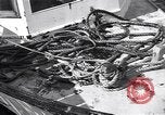 Standbild Küstenwache rettet Überlebende der torpedierten Schiff New Jersey United States USA, 1942, aus Sekunde 7 historischem Filmmaterial Videoclip 65675035893