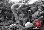 Immagine di KMT cinese di impegnare le truppe giapponesi a Teng-Chung nella provincia dello Yunnan Cina, 1944, secondo 42 filmato di repertorio 65675035897