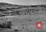 Image of Italian troops Second Italo-Abyssinian War Ethiopia, 1936, second 48 stock footage video 65675035910