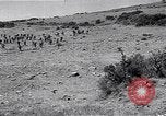Image of Italian troops Second Italo-Abyssinian War Ethiopia, 1936, second 54 stock footage video 65675035910