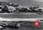 Immagine di In California il Golden California United States USA, 1931, secondo 36 filmato di repertorio 65675035925