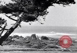 Immagine di In California il Golden California United States USA, 1931, secondo 46 filmato di repertorio 65675035925