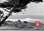 Immagine di In California il Golden California United States USA, 1931, secondo 48 filmato di repertorio 65675035925