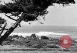 Immagine di In California il Golden California United States USA, 1931, secondo 50 filmato di repertorio 65675035925