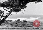 Immagine di In California il Golden California United States USA, 1931, secondo 53 filmato di repertorio 65675035925