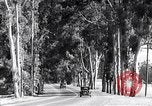 Image of Famous locations San Diego and LA San Diego California USA, 1931, second 21 stock footage video 65675035926