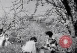 Standbild chinesische und japanische Kulturen San Francisco California USA, 1931, aus Sekunde 54 historischem Filmmaterial Videoclip 65675035927