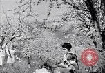 Standbild chinesische und japanische Kulturen San Francisco California USA, 1931, aus Sekunde 56 historischem Filmmaterial Videoclip 65675035927