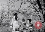 Standbild chinesische und japanische Kulturen San Francisco California USA, 1931, aus Sekunde 61 historischem Filmmaterial Videoclip 65675035927