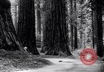 Image of California natural riches California United States USA, 1931, second 1 stock footage video 65675035928